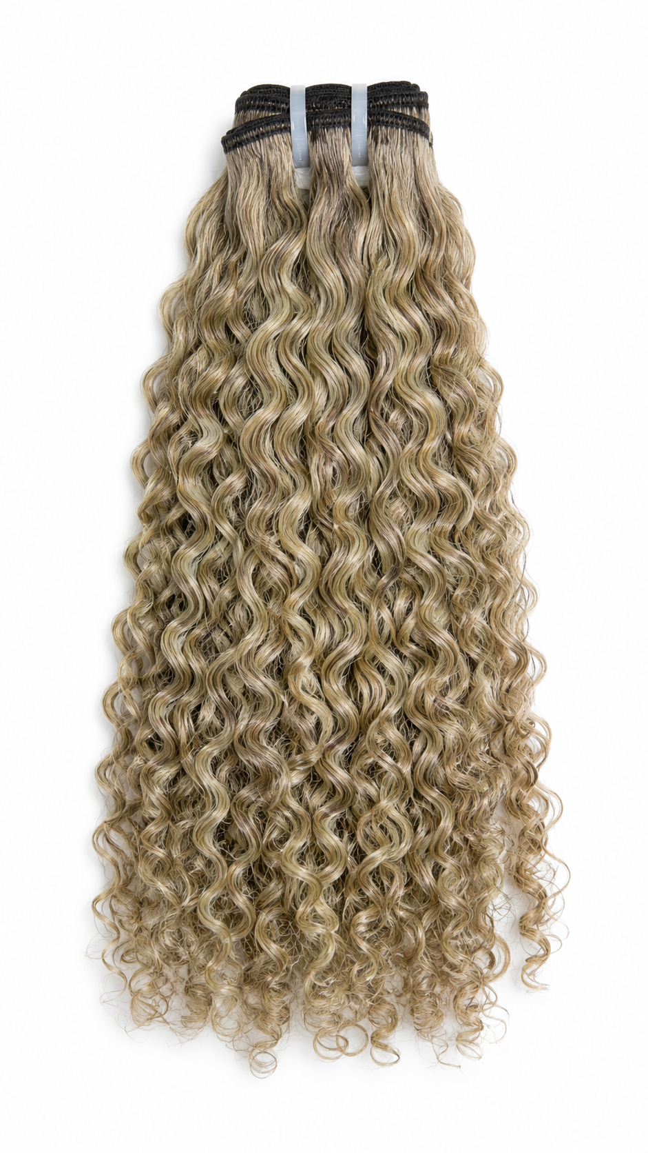 Grey burmese raw